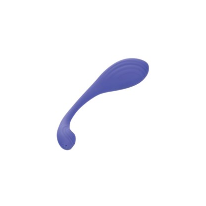 Connect App Based Kegel Exerciser