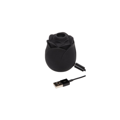 FLASH SALE Fifty Shades of Grey Rose