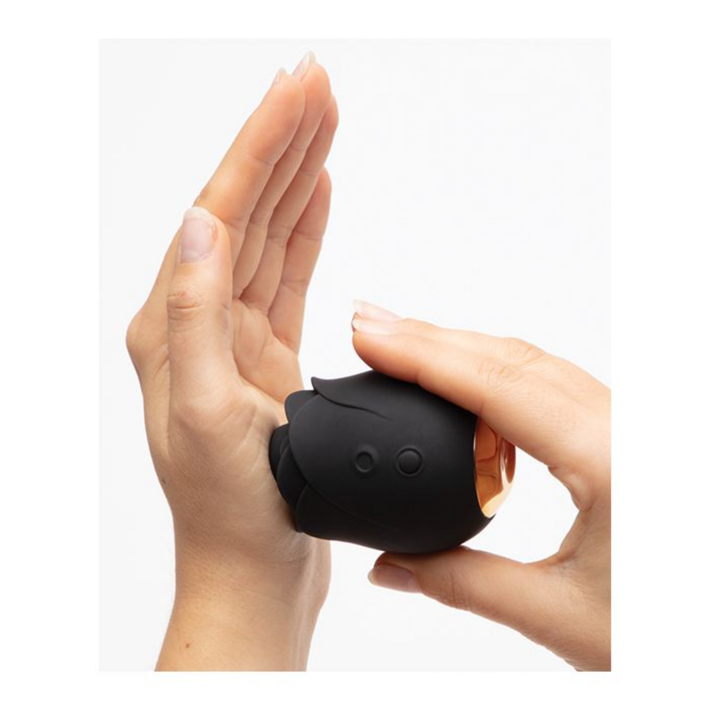 FLASH SALE Fifty Shades of Grey Rose