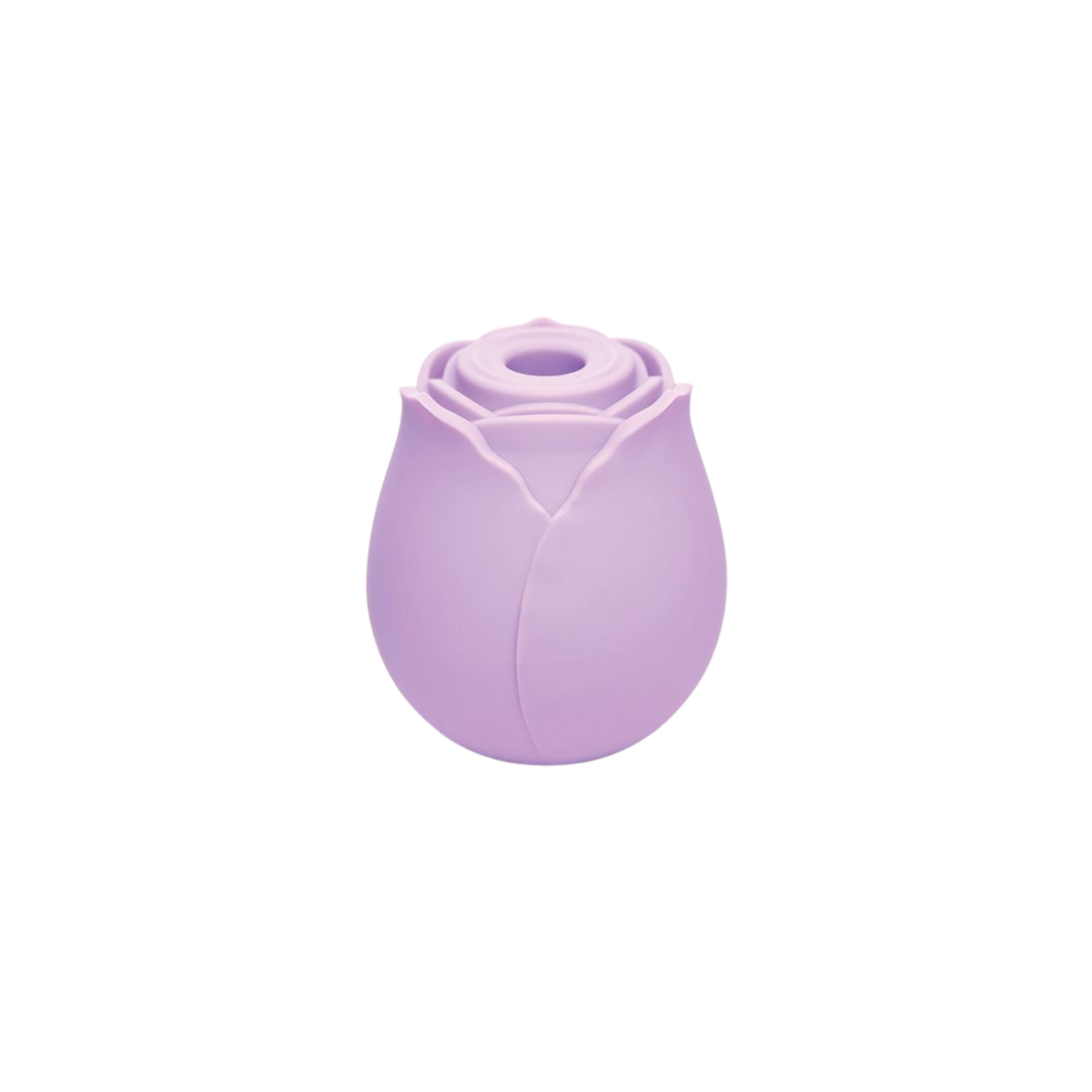 FLASH SALE Wild Rose