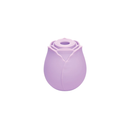 FLASH SALE Wild Rose