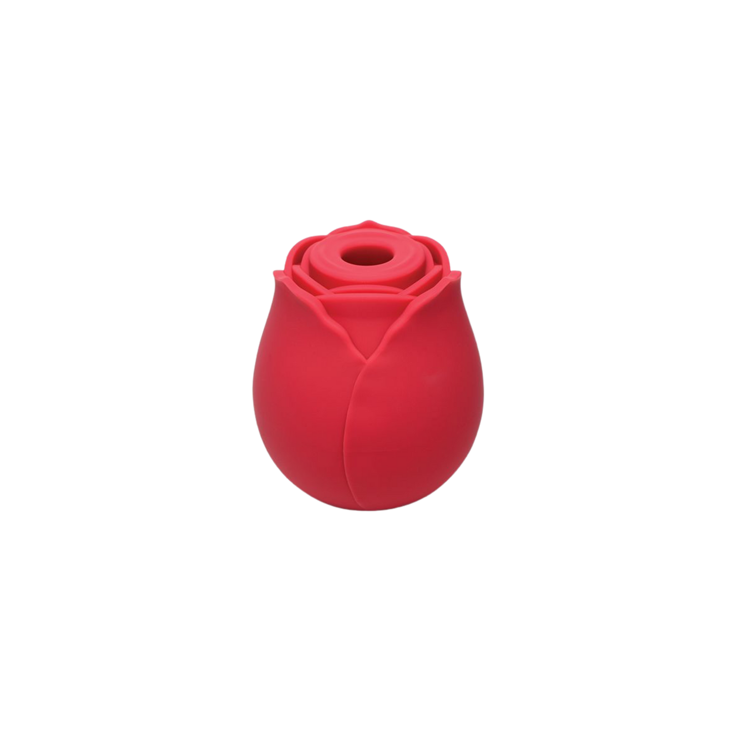 FLASH SALE Wild Rose