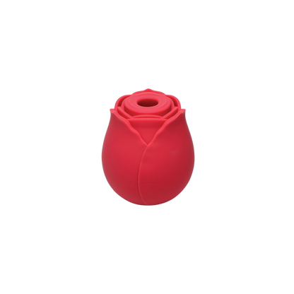 FLASH SALE Wild Rose